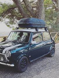 Mini rover 1000/1300 barre portapacchi tetto