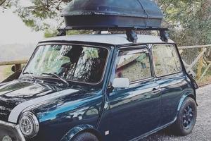 Mini rover 1000/1300 barre portapacchi tetto