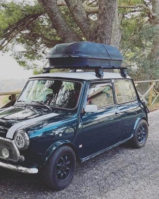 Mini rover 1000/1300 barre portapacchi tetto