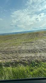 Terreno Agricolo 