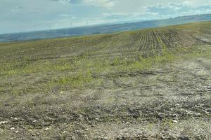 Terreno Agricolo 