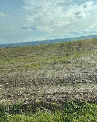 Terreno Agricolo 