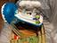Immagine 1