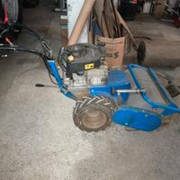 Trinciasarmenti Benassi