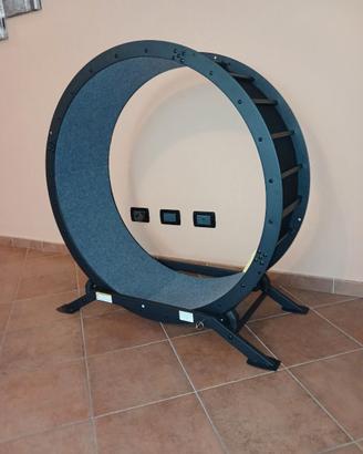 Ruota per esercizi gatto