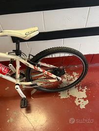 Bicicletta per ragazzo