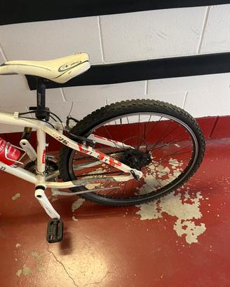 Bicicletta per ragazzo