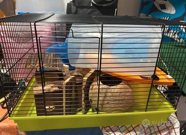 Gabbia criceto