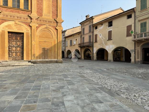 6 LOCALI A CASTELNOVO DI SOTTO