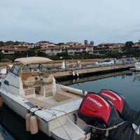 Boston Whaler 250 revenge