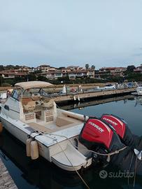 Boston Whaler 250 revenge