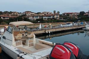 Boston Whaler 250 revenge