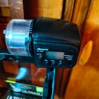 Acquario più accessori tartaruga