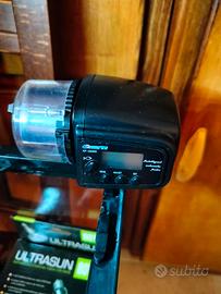 Acquario più accessori tartaruga