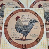 Piastrella 20x20 decorata