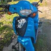 Scooter scarabeo