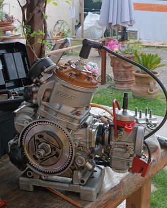 motore kart Vortex rok GP