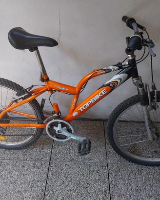 bicicletta