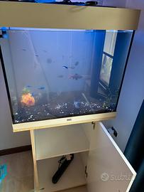 Juwel Lido 120