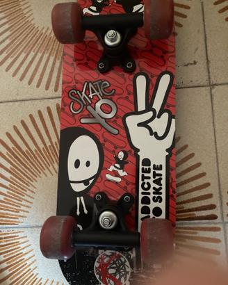 Skateboard kordata