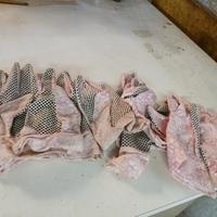 5 paia guanti donna giardinaggio 