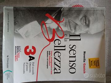 Il senso e la bellezza 3A - Linee, protagonisti e
