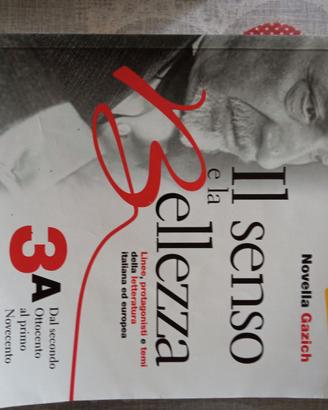Il senso e la bellezza 3A - Linee, protagonisti e