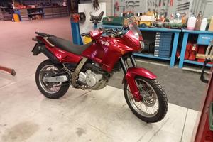 Aprilia 650