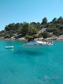 Sea ray 230+carrello 35q.li