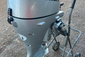 Honda BF 8  anno 2024