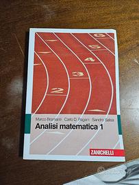 Analisi Matematica 1 (Bramanti, Pagani, Salsa)