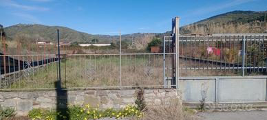 Terreno Giungatelle (MONTECORICE)