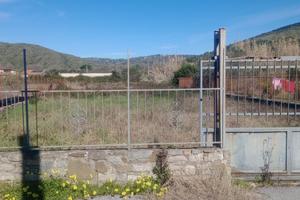 Terreno Giungatelle (MONTECORICE)