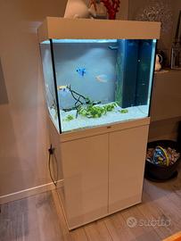acquario 120 litri juwel con mobile e pesci
