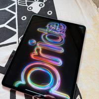 Apple ipad pro 12.9 5a generazione 256gb 4G +casco