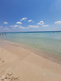 Mare sole e tranquillità