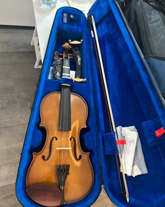 Violino