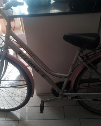 Bicicletta tecno bike