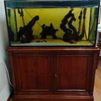 Acquario Vitrea con filtro esterno Pratiko