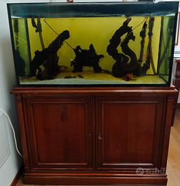 Acquario Vitrea con filtro esterno Pratiko