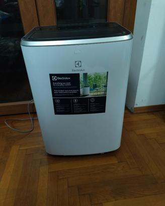 Climatizzatore Electrolux exp26u338cw