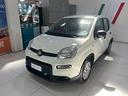 fiat-panda-1-0-firefly-70cv-s-s-hybrid