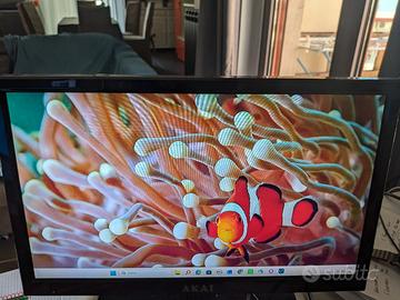 TV monitor 