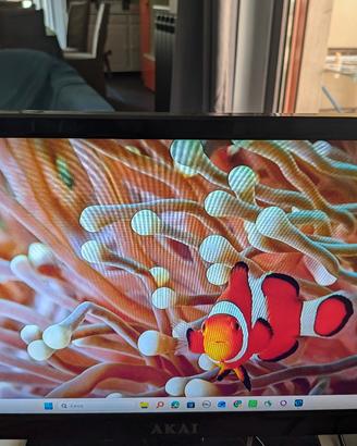 TV monitor 