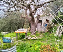 Terreno agricolo con piccolo magazzino