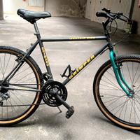 mountain Bike SHIMANO GRIMPER 26 pollici 