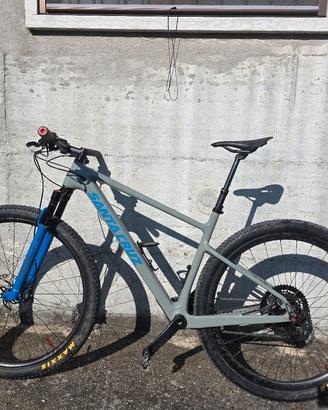 Santa cruz highball 