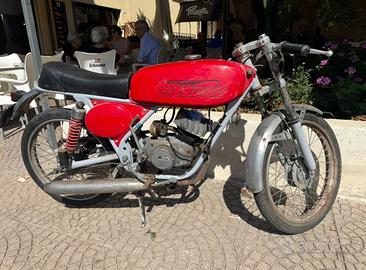 Gabbiano raro anni 60