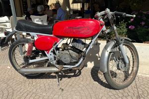 Gabbiano raro anni 60