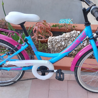 Bicicletta